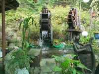 느티나무집 - 경기, 성남시 분당구, 이매동 | 맛집검색 식신