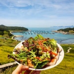 서편제주막 - 전남, 완도 | 맛집검색 식신