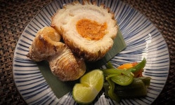 슈토 청담 - 서울, 강남구, 청담동 | 맛집검색 식신