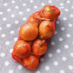 커피베이 남원농협하나로마트점 - 전북, 남원시, 향교동 | 맛집검색 식신