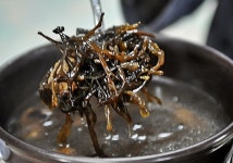 궁전음식점 - 전남, 진도 | 맛집검색 식신