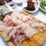 식신 : 대한민국 No.1 맛집검색,맛집추천