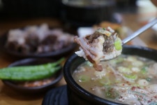 식신 : 대한민국 No.1 맛집