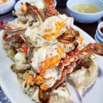 식신 : 대한민국 No.1 맛집검색,맛집추천