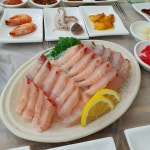 식신 : 대한민국 No.1 맛집검색,맛집추천