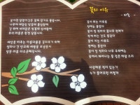 벨라루나|해운대-송정맛집, 카페/디저트맛집