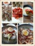 황재코다리냉면 - 대전, 서구-둔산 탄방 | 맛집검색 식신 황재코다리냉면  - 대전, 서구-둔산 탄방 | 맛집검색 식신