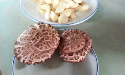 예닮골 - 경기, 여주시 | 맛집검색 식신