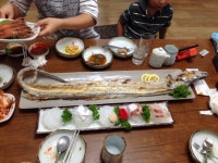 황금어장 - 제주, 서귀포시내 | 맛집검색 식신