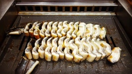 우진갯벌장어 - 전북, 고창 | 맛집검색 식신 우진갯벌장어  - 전북, 고창 | 맛집검색 식신