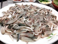 민락어민활어직판장 - 부산, 수영구 광안리 남천 | 맛집검색 식신