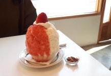 모모상점 - 대구, 중구 동성로 중앙로 종로 | 맛집검색 식신