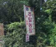 동명주말농장식당 - 경북, 칠곡 | 맛집검색 식신