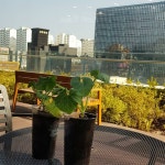 이디야커피 마곡퀸즈파크9점 - 서울, 강서구, 마곡동 | 맛집검색 식신