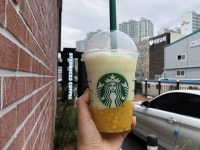 스타벅스 을숙도강변DT점 - 부산, 사하구, 하단동 | 맛집검색 식신