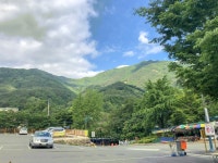 코보네맛집 - 경남, 하동군, 화개면 | 맛집검색 식신