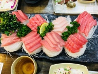 참치본가 - 충북, 충주시 | 맛집검색 식신