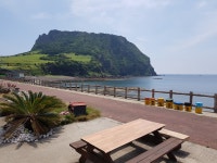 전망좋은횟집앤흑돼지 - 제주, 서귀포시, 성산읍 | 맛집검색 식신