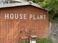 하우스플랜트 - 경기, 하남-미사 | 맛집검색 식신