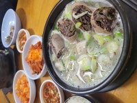 시골순대 - 경기, 안산-상록구 한양대 | 맛집검색 식신