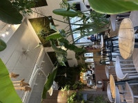 수수 - 경기, 과천시, 문원동 | 맛집검색 식신