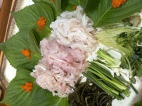 울진막회 - 경기, 화성-동탄신도시 | 맛집검색 식신