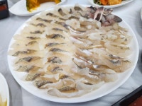 순애회식당 - 경북, 포항시 북구, 죽도동 | 맛집검색 식신