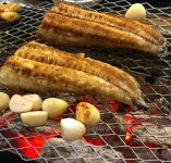 풍천장어 연남2호점 - 서울, 마포구, 연남동 | 맛집검색 식신