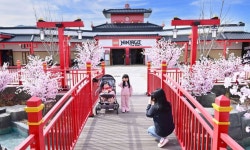 레고랜드, 사계절 특화 콘텐츠로 새 단장 | 스포츠 월드 레고랜드, 사계절 특화 콘텐츠로 새 단장