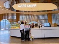 ‘벌써1년’ 반려견호텔 키녹… 설채현 함께하는 댕댕이축제 연다 | 스포츠 월드 ‘벌써1년’ 반려견호텔 키녹… 설채현 함께하는 댕댕이축제 연다