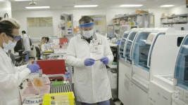 Florida data showsthousands have COVID-19 antibodies | Miami Herald Who’s had COVID-19? Florida testing data shows thousands... 