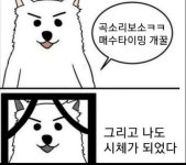 이게 곡소리구나 - 주식 카테고리