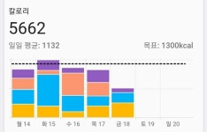 나 왜 찌고있을까??? ㅜㅜ - 다이어트 카테고리