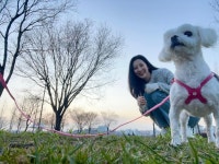 서현 청순하고 넘 이뻐 - 드영배 카테고리