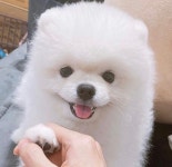 아아아아악 따따야아아악ㅠㅠㅠㅠㅠㅠㅠㅠㅠ - 김우석 카테고리