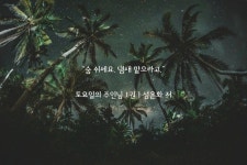 붕붕붕 팀장미를 맡으면 힘이 솟는 낭만서단시🐰 - 비엘 카테고리 붕붕붕 팀장미를 맡으면 힘이 솟는 낭만서단시&#x1f430; - 비엘 카테고리