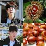 아 귀엽다 석진이 웅 - 방탄소년단 카테고리
