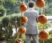 마치다 사진 올리는 플같아서 나도 투척 - 일본유명인 카테고리