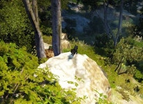 더쿠 - 채집할 때 펫 너무 귀여움ㅋㅋㅋㅋ