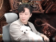 오늘도 귀여운 - 로스트아크 카테고리