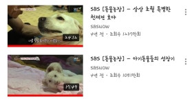 케이돌토크 - 동물농장 천만뷰 넘는 영상 두개나 있네 ㄷㄷ