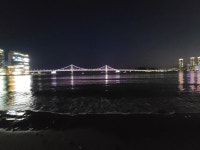 ㅇㅇㄱ 광안대교 이쁘다૮₍ू˃Ⱉ˂ू₎ა - 국내야구 카테고리