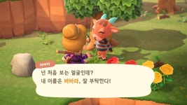 더쿠 - 미랑이 보내고 바바라 델꼬 옴ㅋㅋㅋㅋㅋ