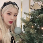 전체 게시판 - 트리랑 금비랑 케미 오지는거 알지?