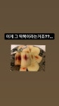 전체 게시판 - 동구 인스스