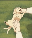 전체 게시판 - 풍작이 너모 귀여워 ( ˃̣̣̥᷄⌓˂̣̣̥᷅ )