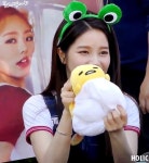 솔라 보단 용선.jpgif - 스퀘어 카테고리