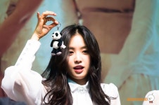 더쿠 - 판다는 내 손안에