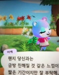 딱히 위시없이 마일돌자 했는데 첫트만에 미애 나옴 - 동물의숲 카테고리