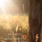 하니주니모닝💙 - BL 카테고리 하니주니모닝&#x1f499; - BL 카테고리